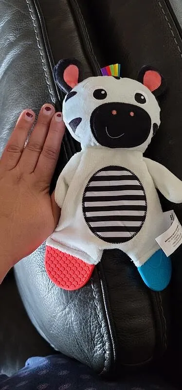 Baby Einstein Zen the Zebra Plüsch-Beißring schwarz-weiß