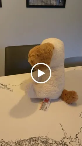 TUMAMA Plüschhund singt und spricht mit Aufnahme