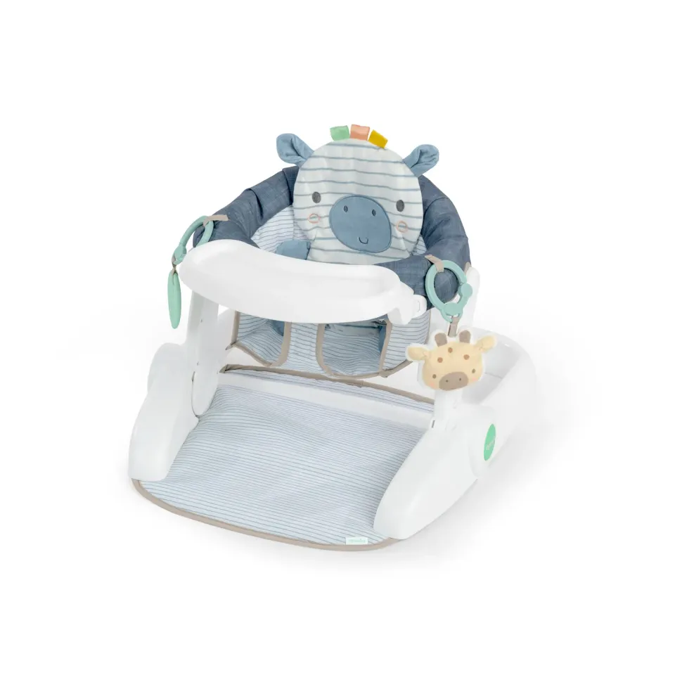 Ingenuity Prop Spot Bodensitz Casi Zebra 3-in-1