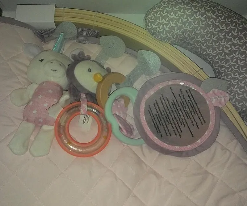 Ingenuity Cozy Spot Duvet Spieldecke Calla mit Spielbogen Holz