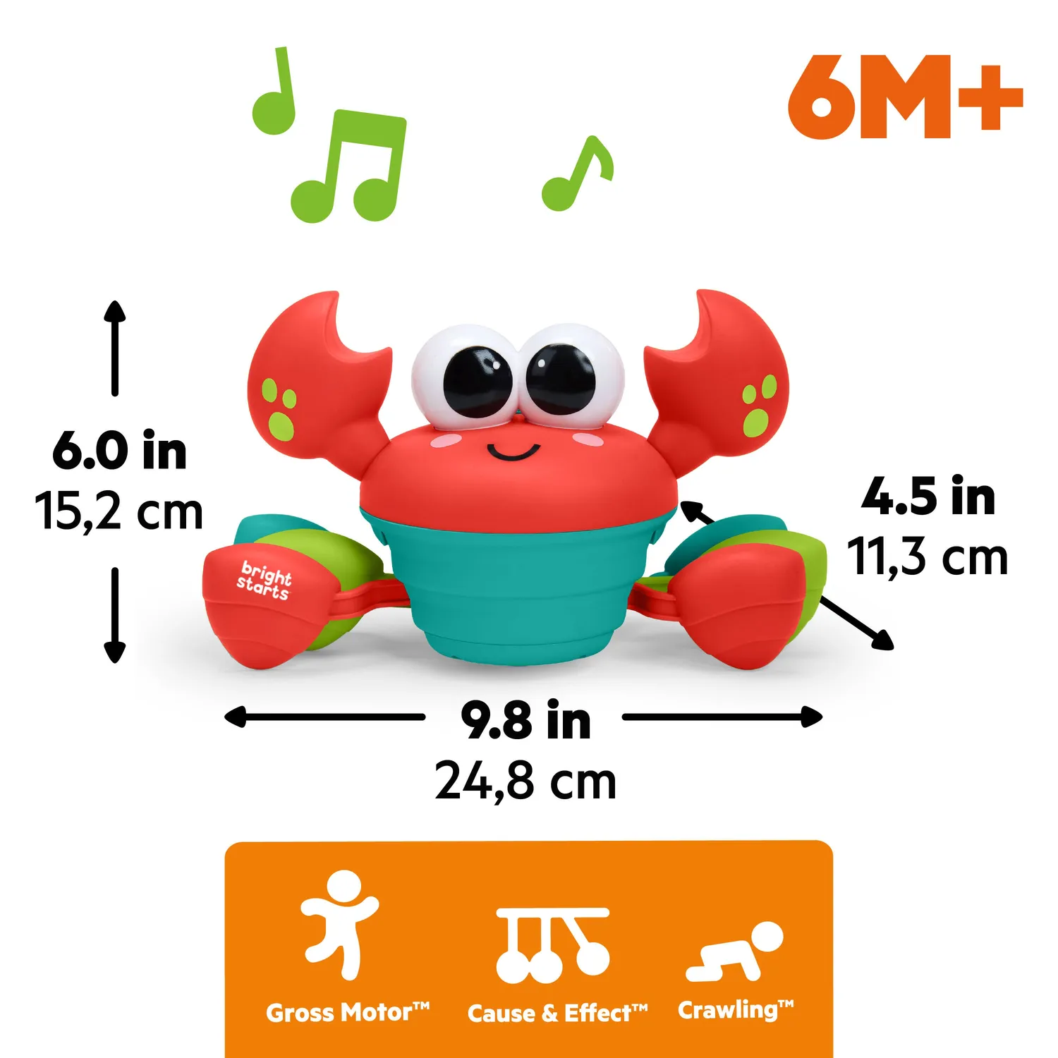 Bright Starts Rockin Crab Krabbelspielzeug rot Musik