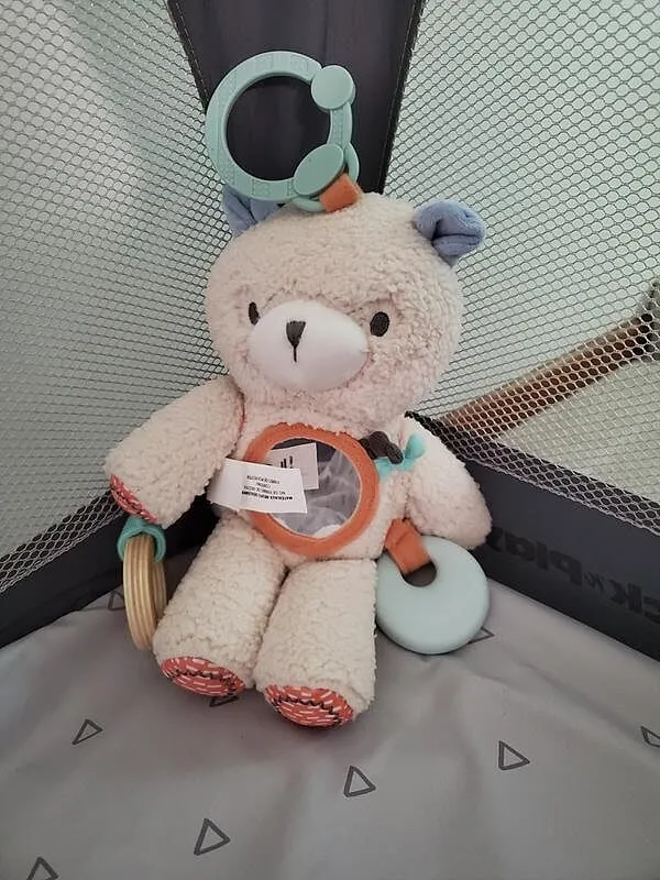 Ingenuity Nate Teddy Aktivspielzeug Plüsch ab Geburt