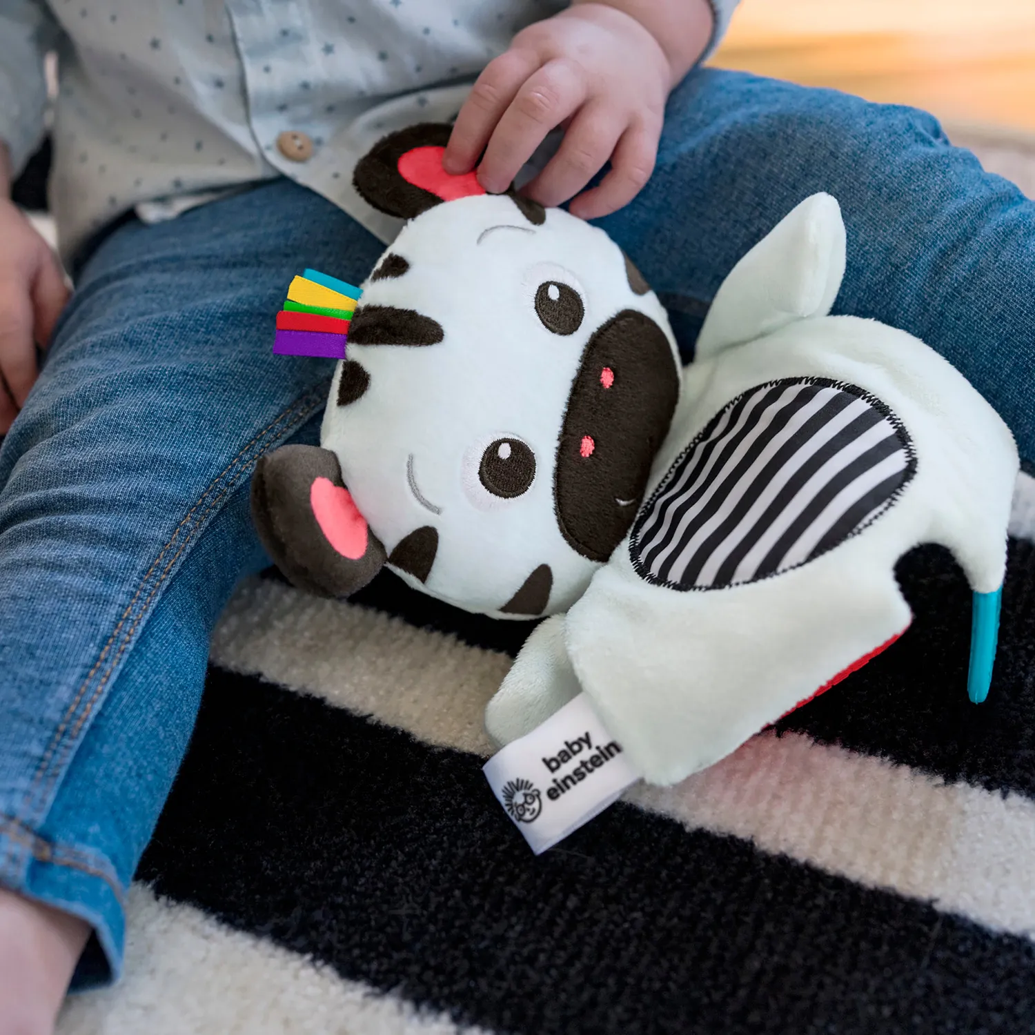 Baby Einstein Zen the Zebra Plüsch-Beißring schwarz-weiß
