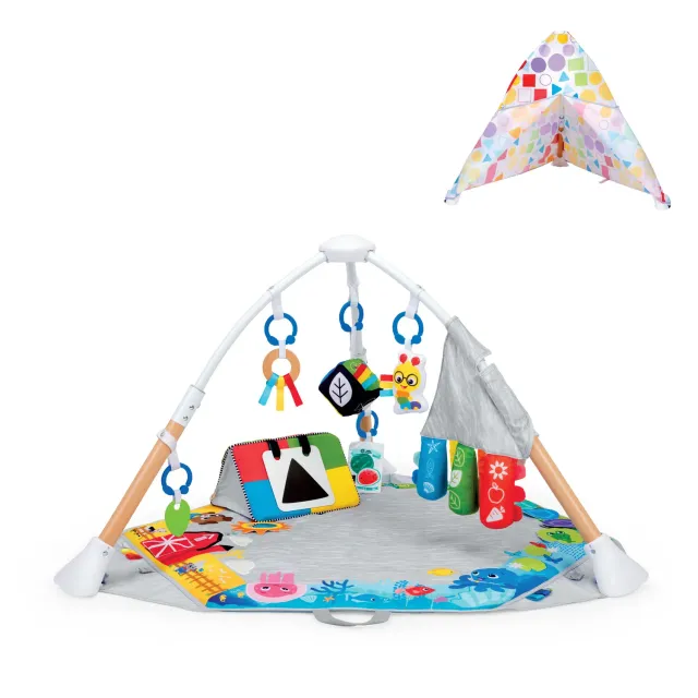 Baby Einstein Discover More 4-in-1 Spielbogen mit Spielmatte ab Geburt