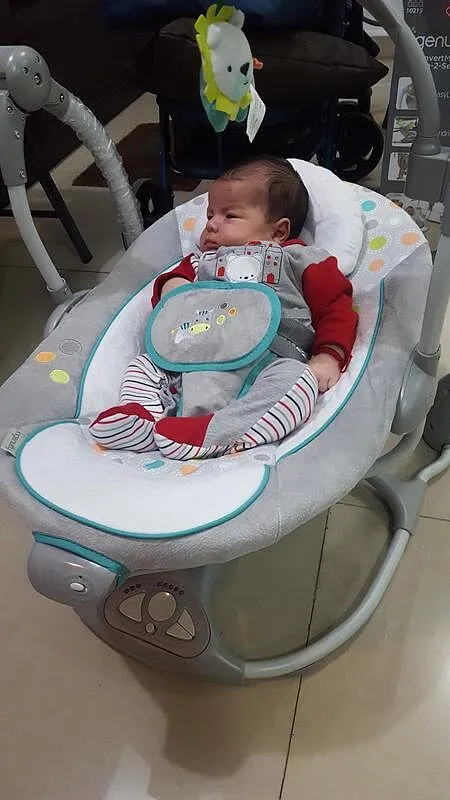 Ingenuity ConvertMe Swing-2-Seat Babyschaukel Wynn