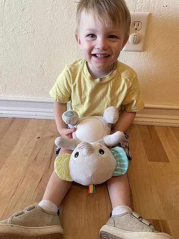 Bright Starts Hug-a-bye Baby Elefant Kuscheltier mit Licht & Musik