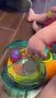 Bright Starts Spin n Chase Bug Ballspielzeug mit Licht