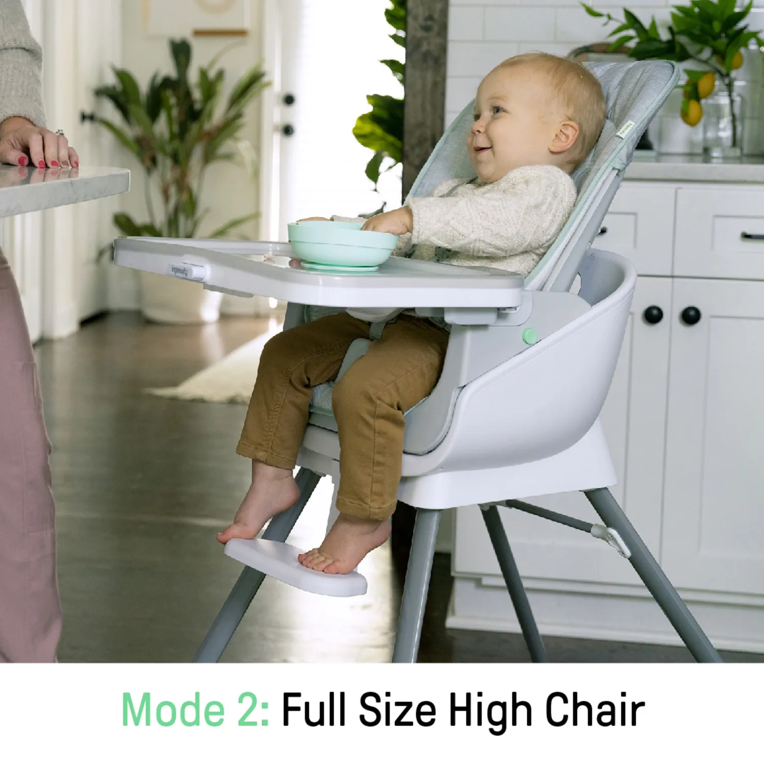 Ingenuity Beanstalk 6-in-1 Hochstuhl Ray mitwachsend