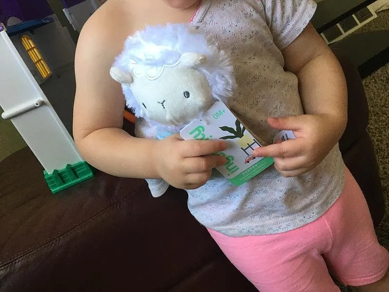 Ingenuity Sheppy the Sheep Ringrassel Plüsch sanft