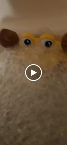 TUMAMA Krabbe Badespielzeug mit Blasen und Musik