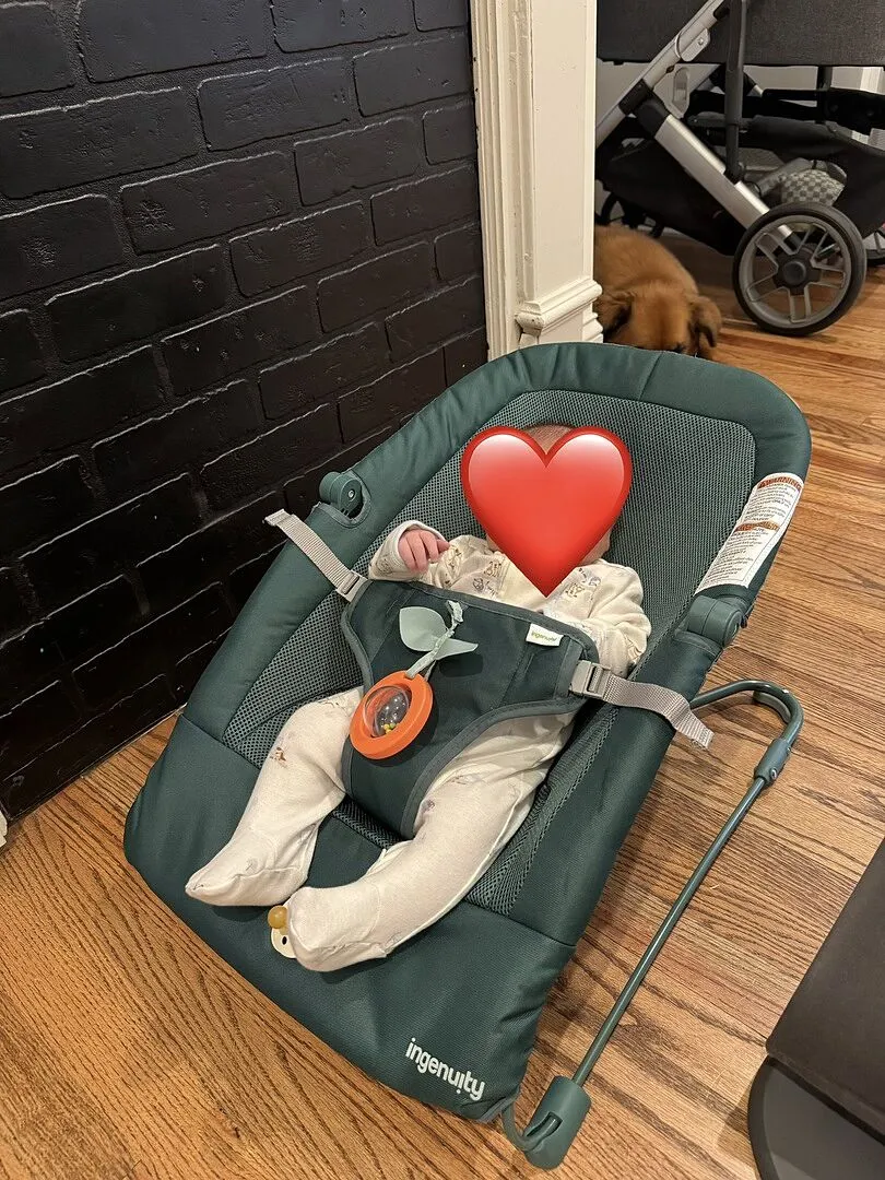 Ingenuity Stow Go Grey Babywippe faltbar Vibration