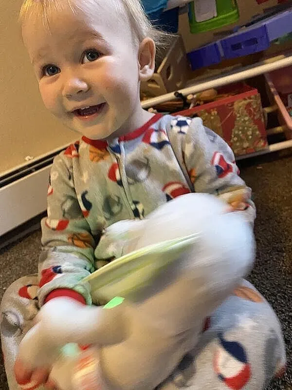 Bright Starts Hug-a-bye Baby Elefant Kuscheltier mit Licht & Musik