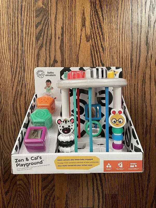 Baby Einstein Zen & Cal's Playground Formensortierer 6 Teile