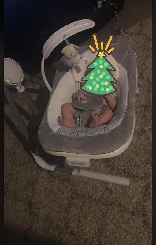 Ingenuity AnyWay Sway Babyschaukel Spruce tragbar