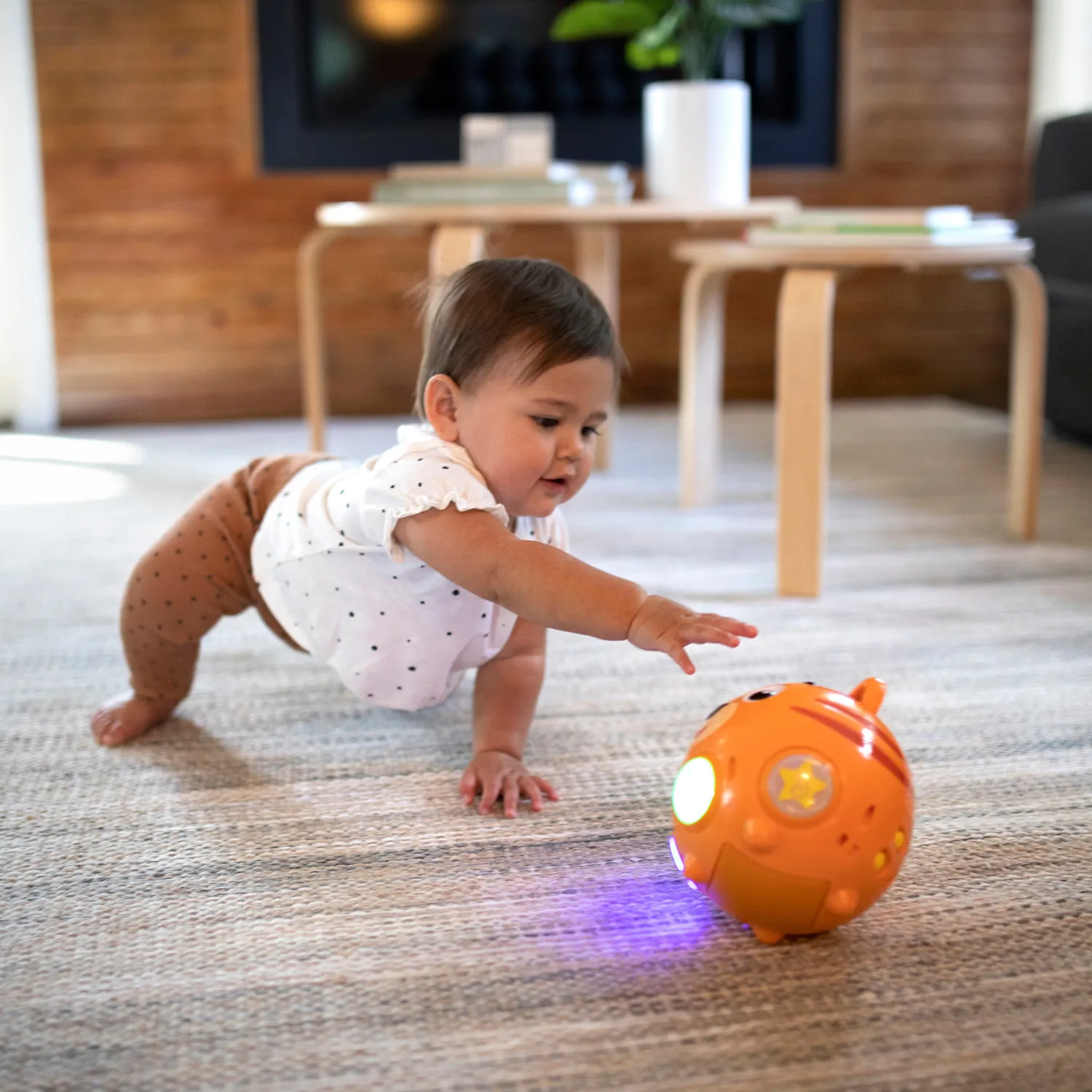 Baby Einstein Tinkers Crawl Along Krabbelspielzeug Tiger mit Musik