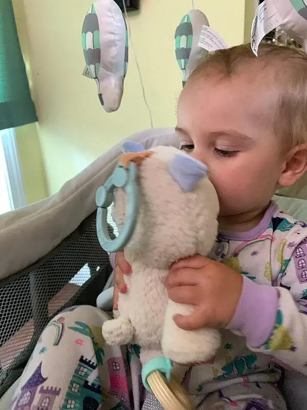 Ingenuity Nate Teddy Aktivspielzeug Plüsch ab Geburt