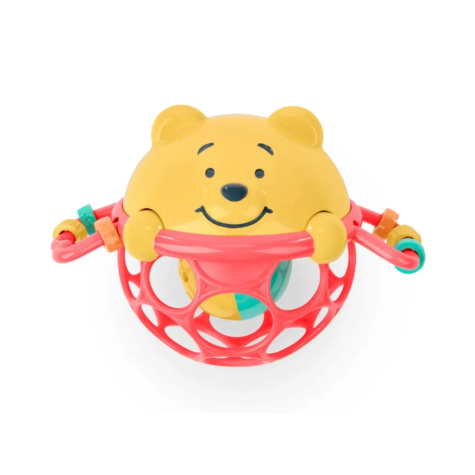 Bright Starts Disney Baby Winnie Puuh Rassel ab Geburt