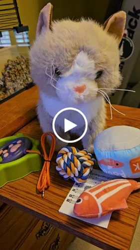 TUMAMA Interaktive Katze Plüsch Spielzeugkatze mit Futter-Set