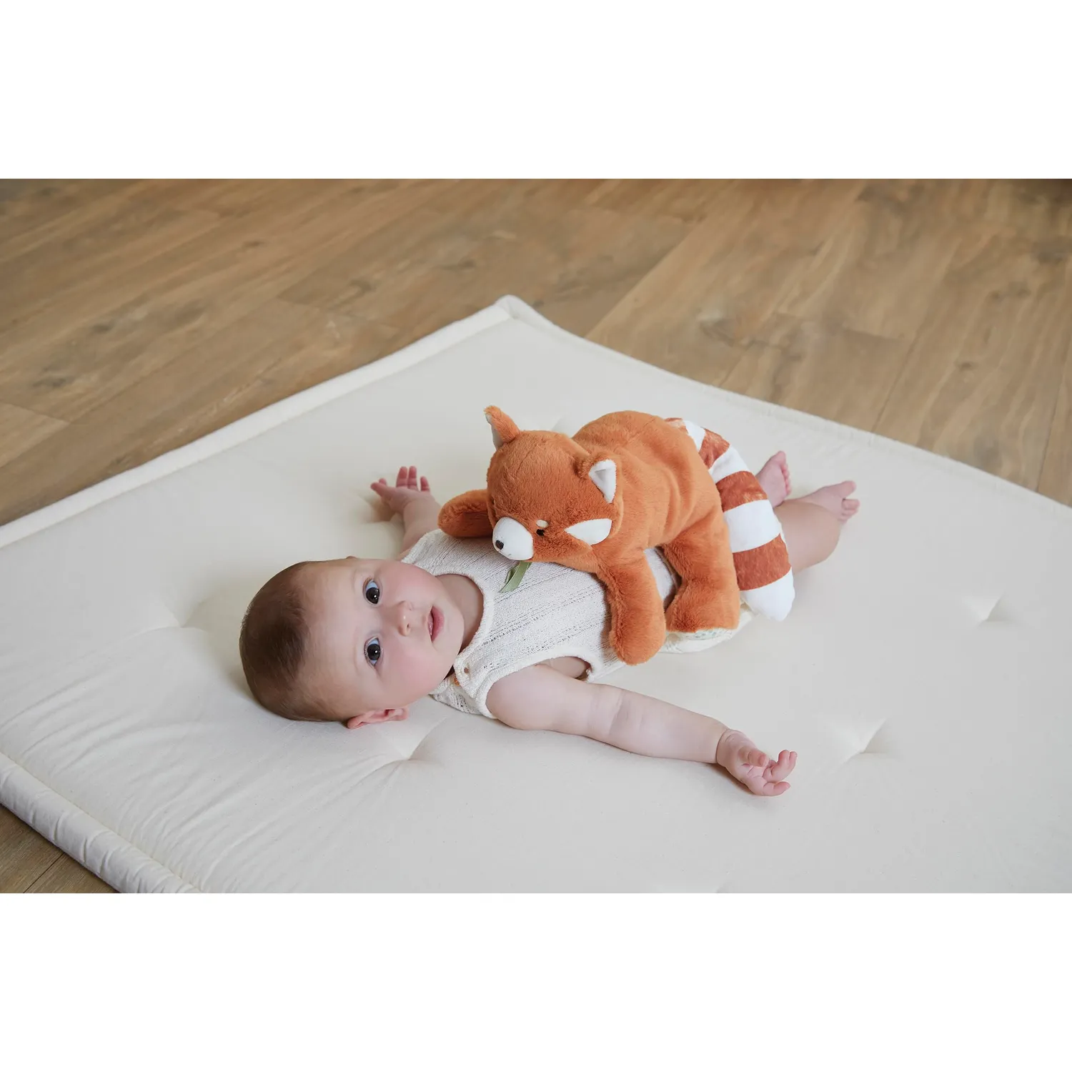 Kaloo Petit Calme Roter Panda Kuscheltier 28 cm gewichtet