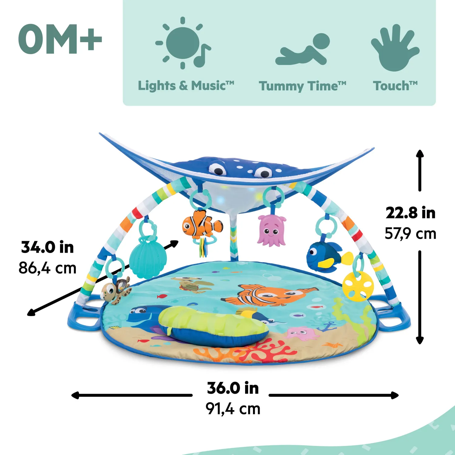 Disney Baby Finding Nemo Mr. Ray Spielbogen mit Licht Musik