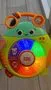 Bright Starts Safari Surprise Multisensory Lernspielzeug Käfer