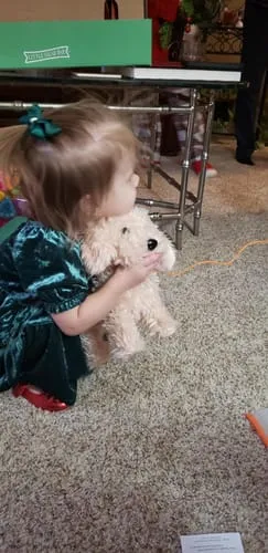 TUMAMA Laufhund Interaktives Plüsch-Spielzeug Leine