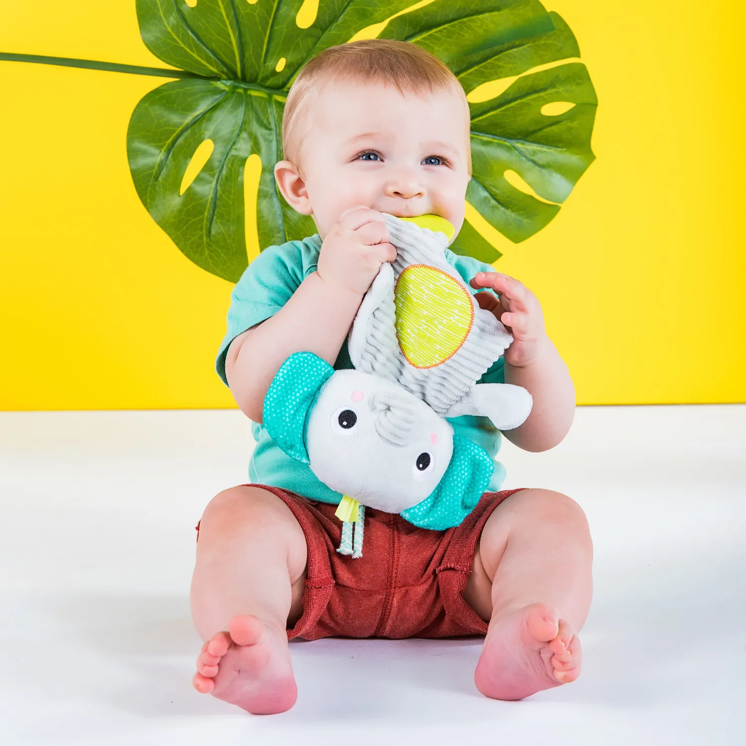 Bright Starts Snuggle & Teethe Beissspielzeug Sortiment