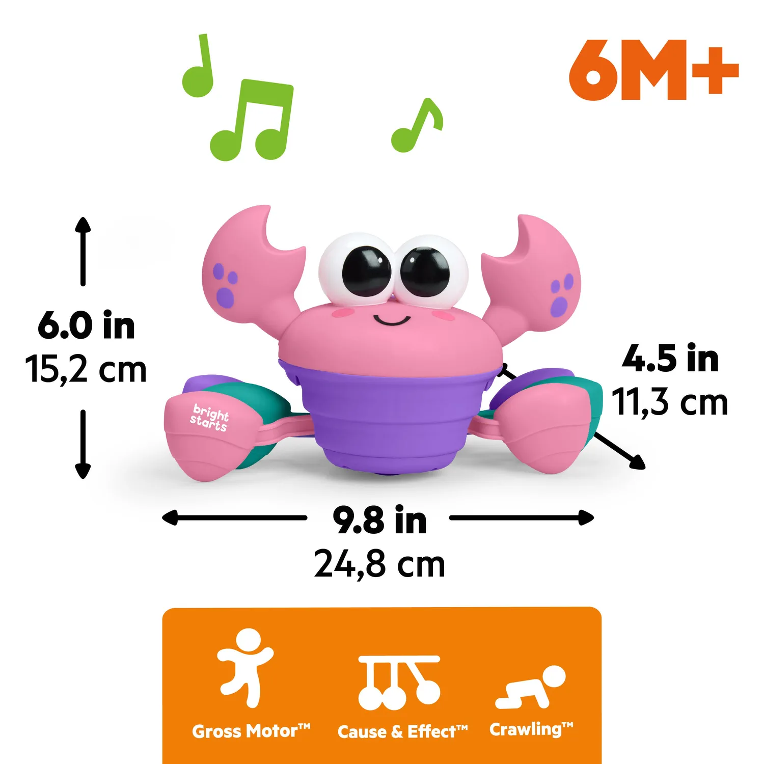 Bright Starts Rockin Crawling Crab Krabbelspielzeug Pink mit Musik