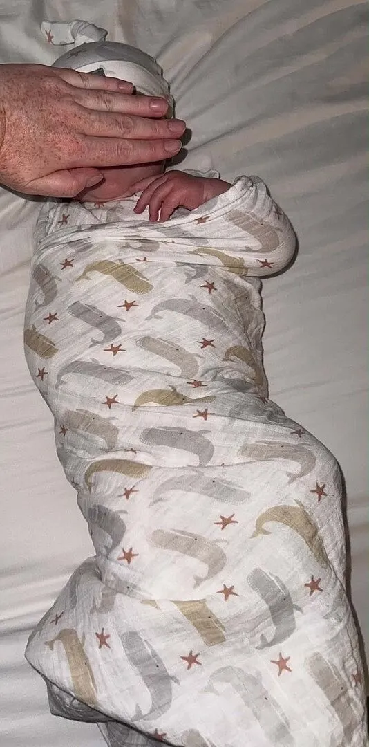 SwaddleMe First Moments Musseldecke & Mütze Set 4-tlg oeko-tex