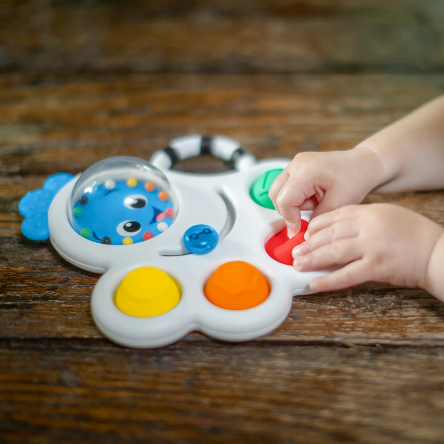 Baby Einstein Octo-Push Bubble Pop Sensorikspielzeug Beissspielzeug 6M+