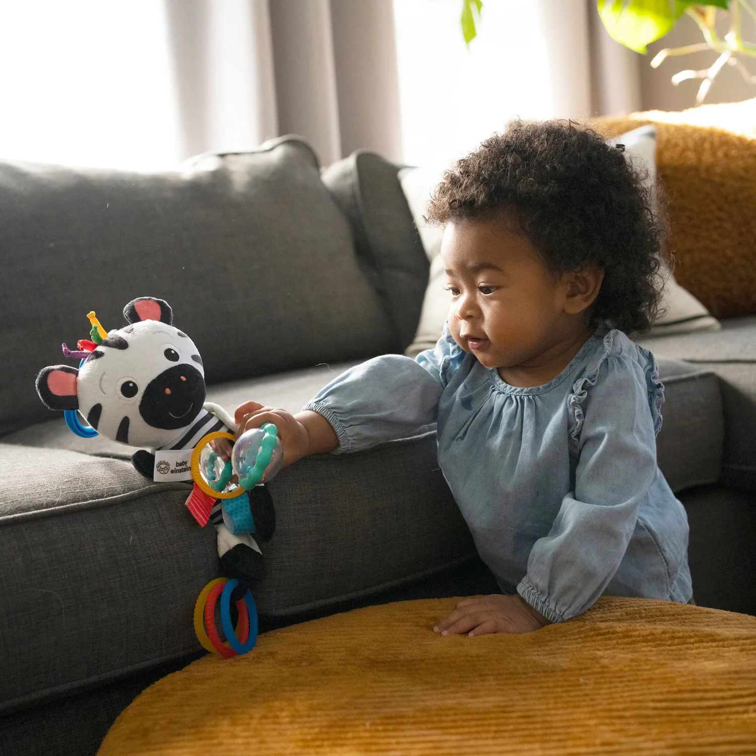 Baby Einstein Zens Sensory Play Kinderwagenspielzeug