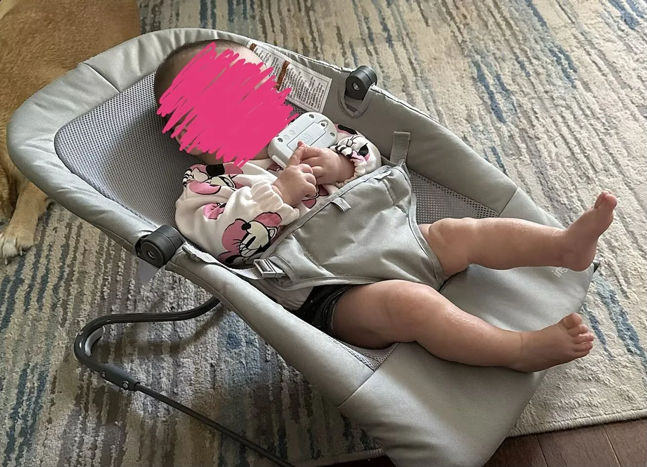 Ingenuity Stow & Go Babywippe Grau faltbar mit Vibration