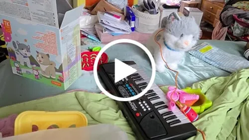 TUMAMA Spielzeugkatze Plüsch interaktiv mit Pflege-Set