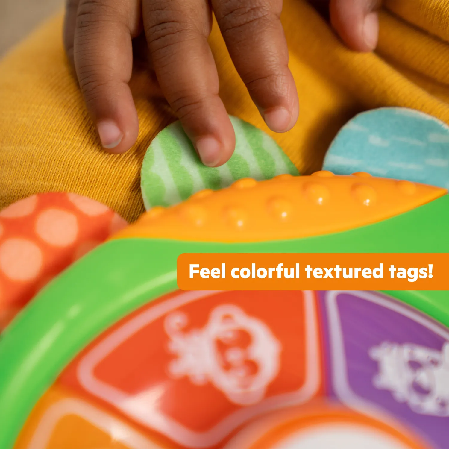 Bright Starts Safari Surprise Multisensory Lernspielzeug Käfer