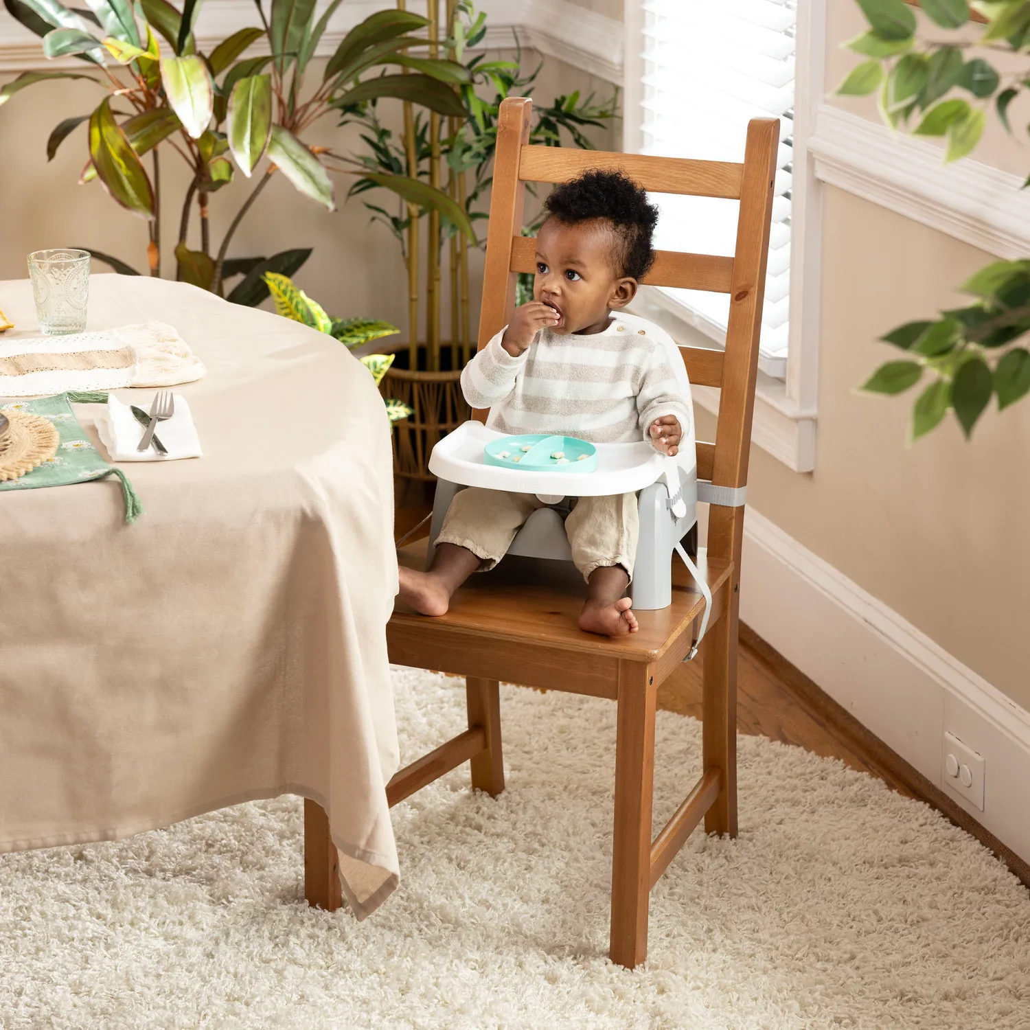 Summer Learn-to-Dine Deluxe Sitzerhöhung mit Tablett 2-tlg