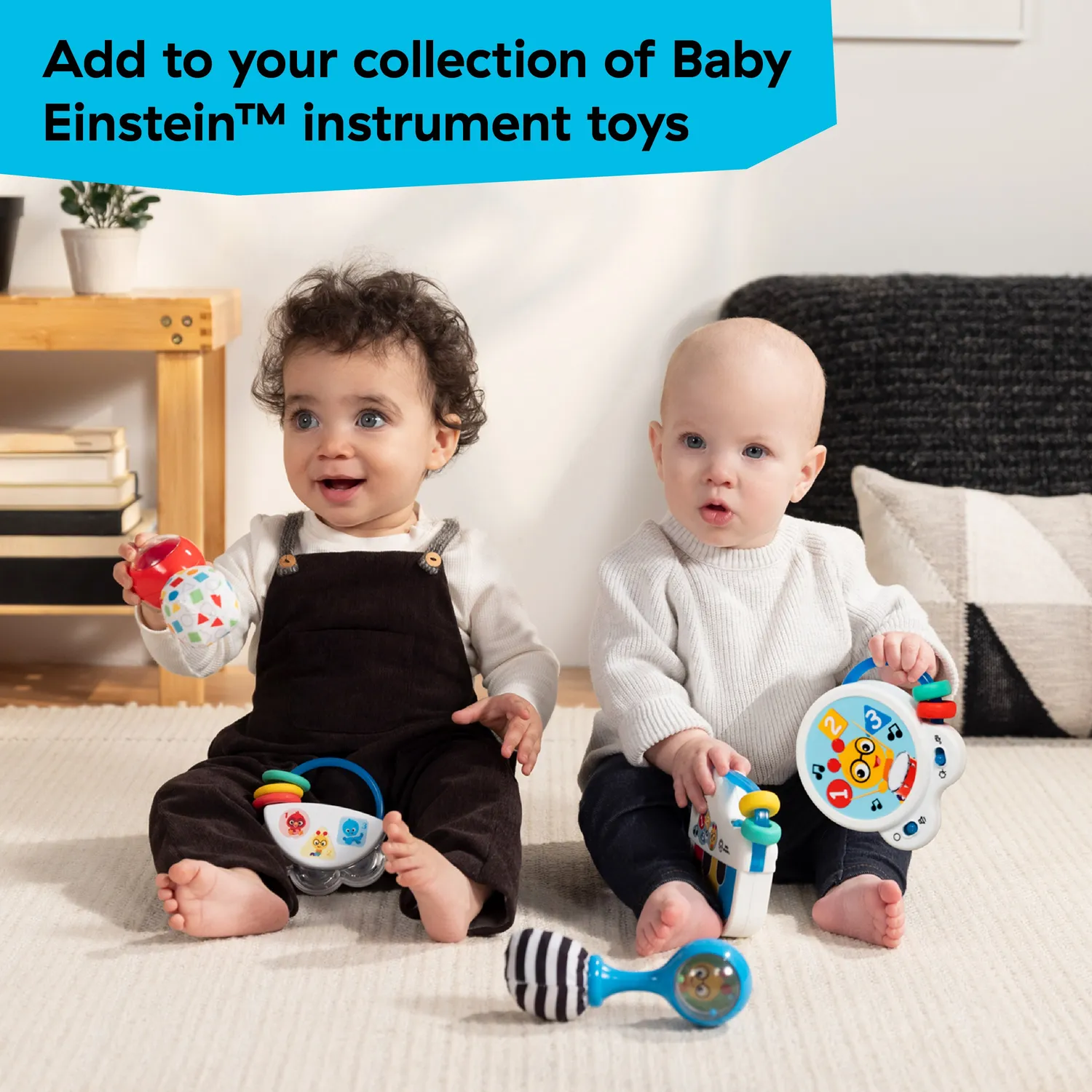 Baby Einstein Shake & Groove Maracas Rasseln 2er-Set ab 3 Monaten
