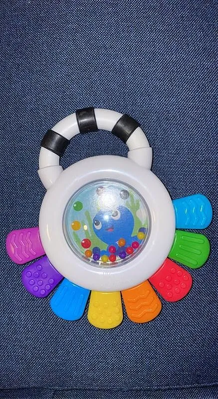 Baby Einstein Outstanding Opus Beissring Rassel Oktopus