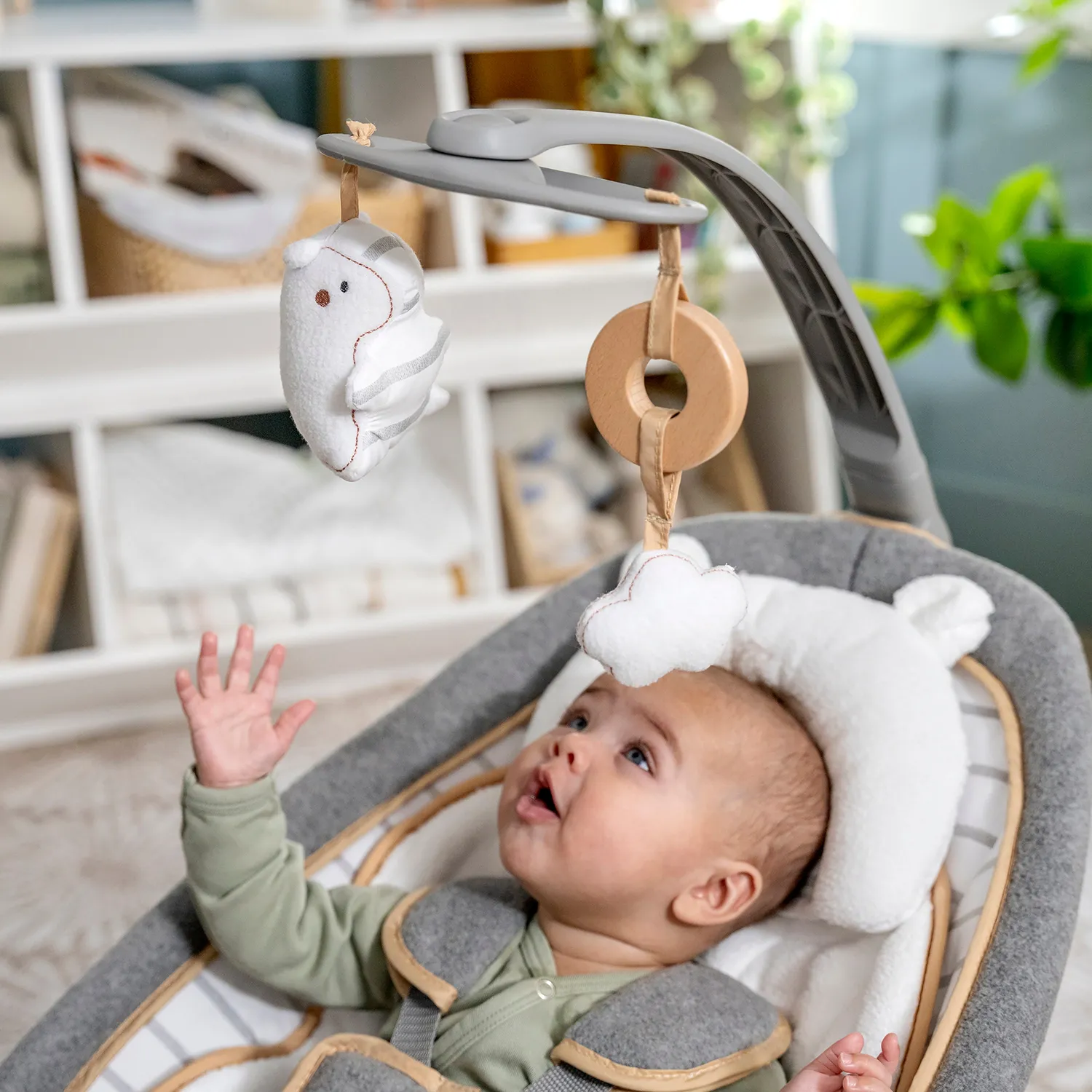 Ingenuity Boutique Rocking Seat Bella Teddy Babywippe Plüsch