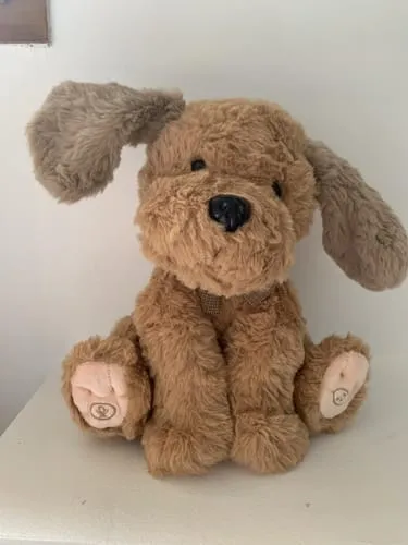 TUMAMA Plüschhund Interaktiv Singend Aufnahme