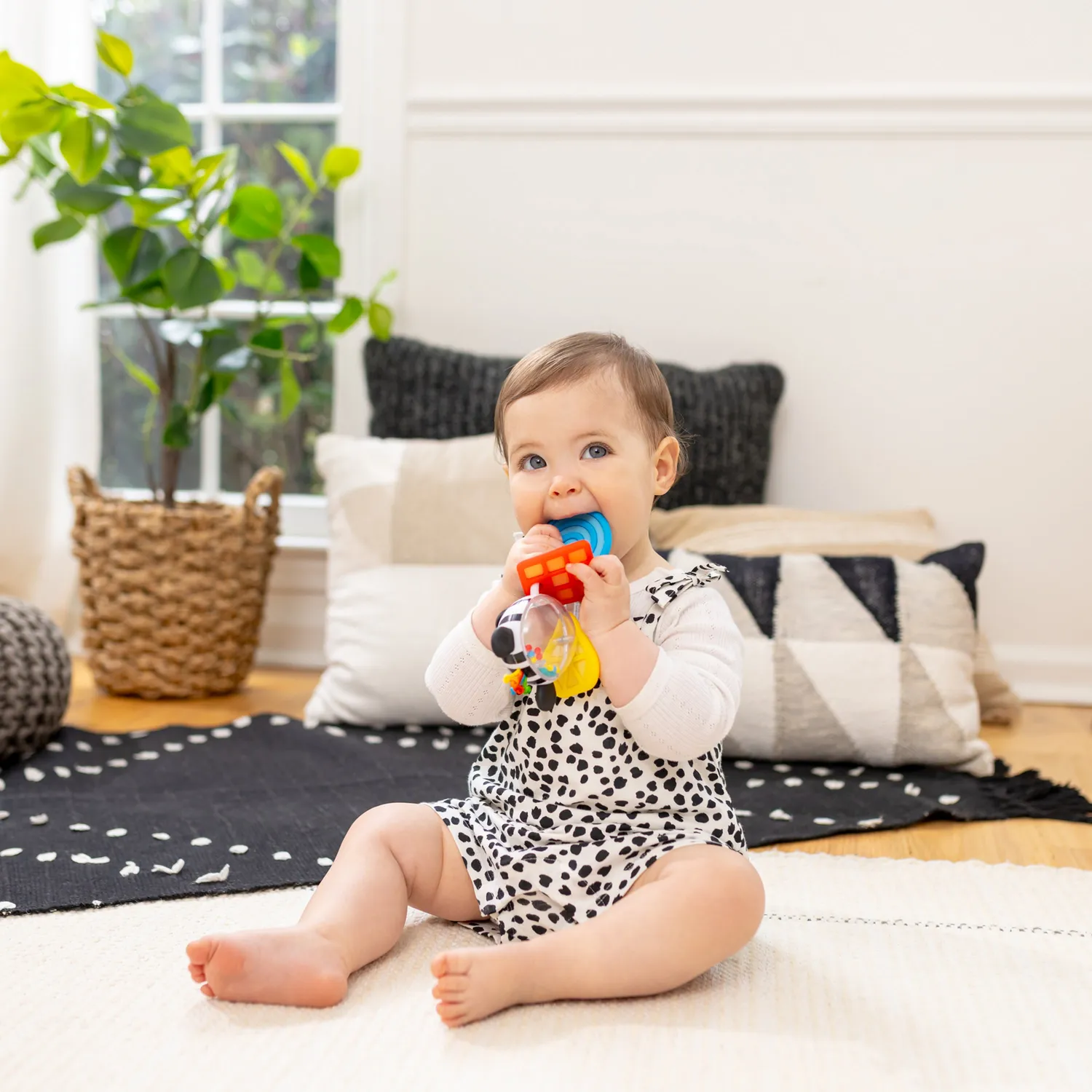 Baby Einstein Shake-a-Shape Zen Beißring Rassel Silikon