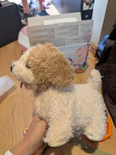 TUMAMA Plüschhund läuft und bellt mit Leine und Zubehör