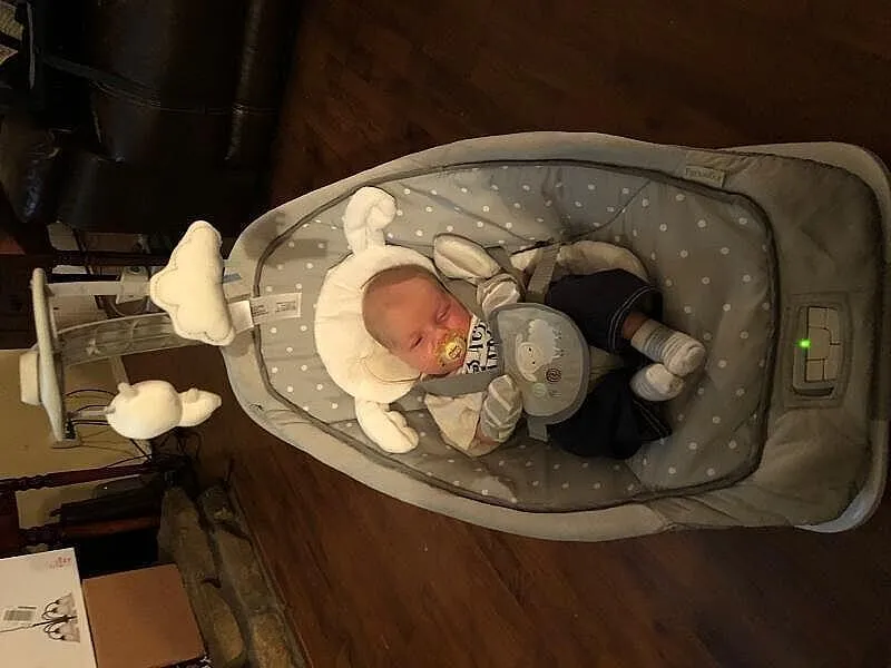Ingenuity Cuddle Lamb Babywippe mit Vibration Lamm