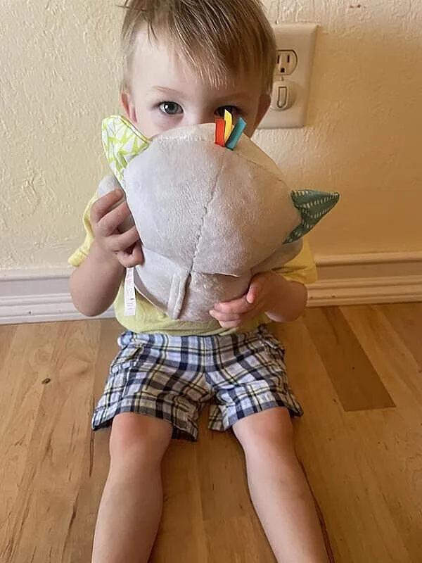 Bright Starts Hug-a-bye Baby Elefant Kuscheltier mit Licht & Musik