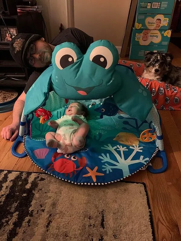 Baby Einstein Neptune Spielbogen Unterwasser mit Musik