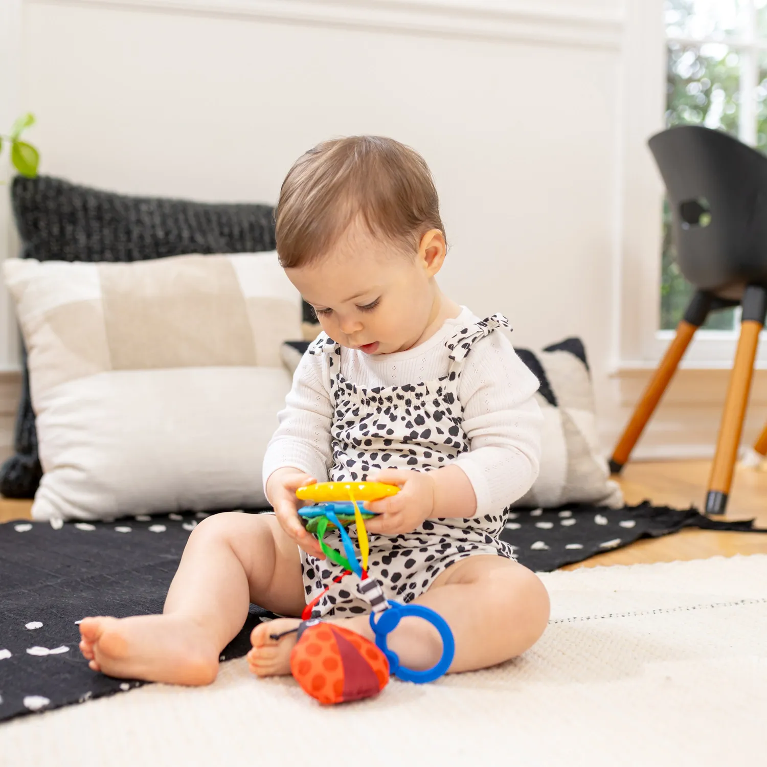 Baby Einstein Touch of Nature Sensorikspielzeug 4er Set ab Geburt
