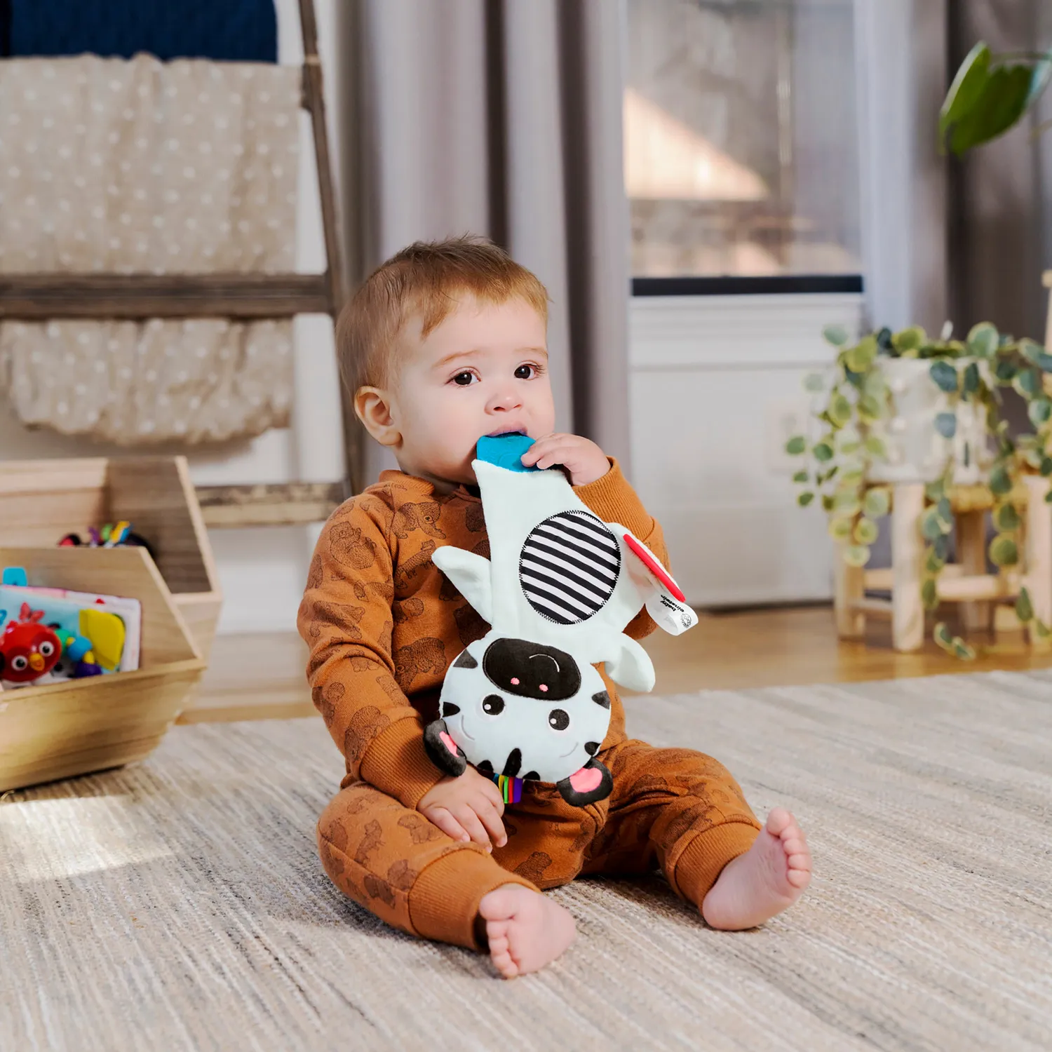 Baby Einstein Zen the Zebra Plüsch-Beißring schwarz-weiß