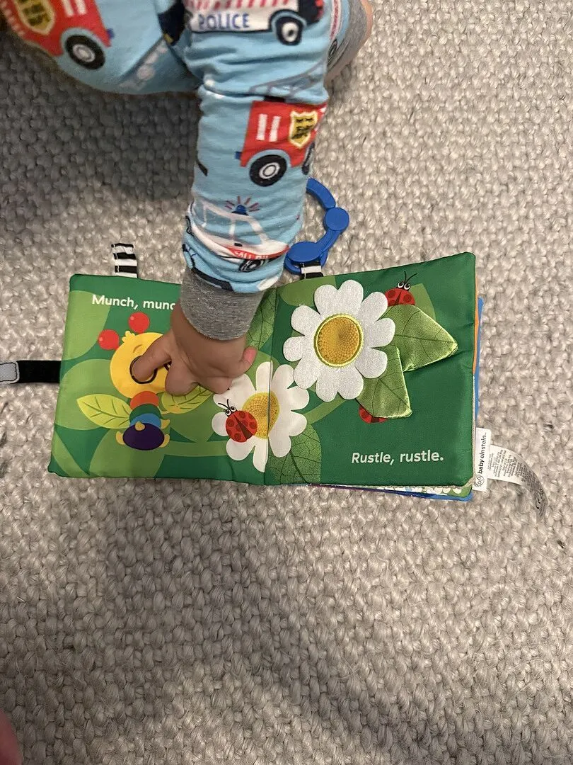 Baby Einstein Nature Sounds Stoffbuch Softbuch mit Rassel ab 0 Monate