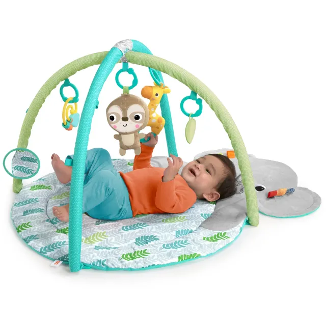 Bright Starts Hug n Cuddle Elephant Spielbogen