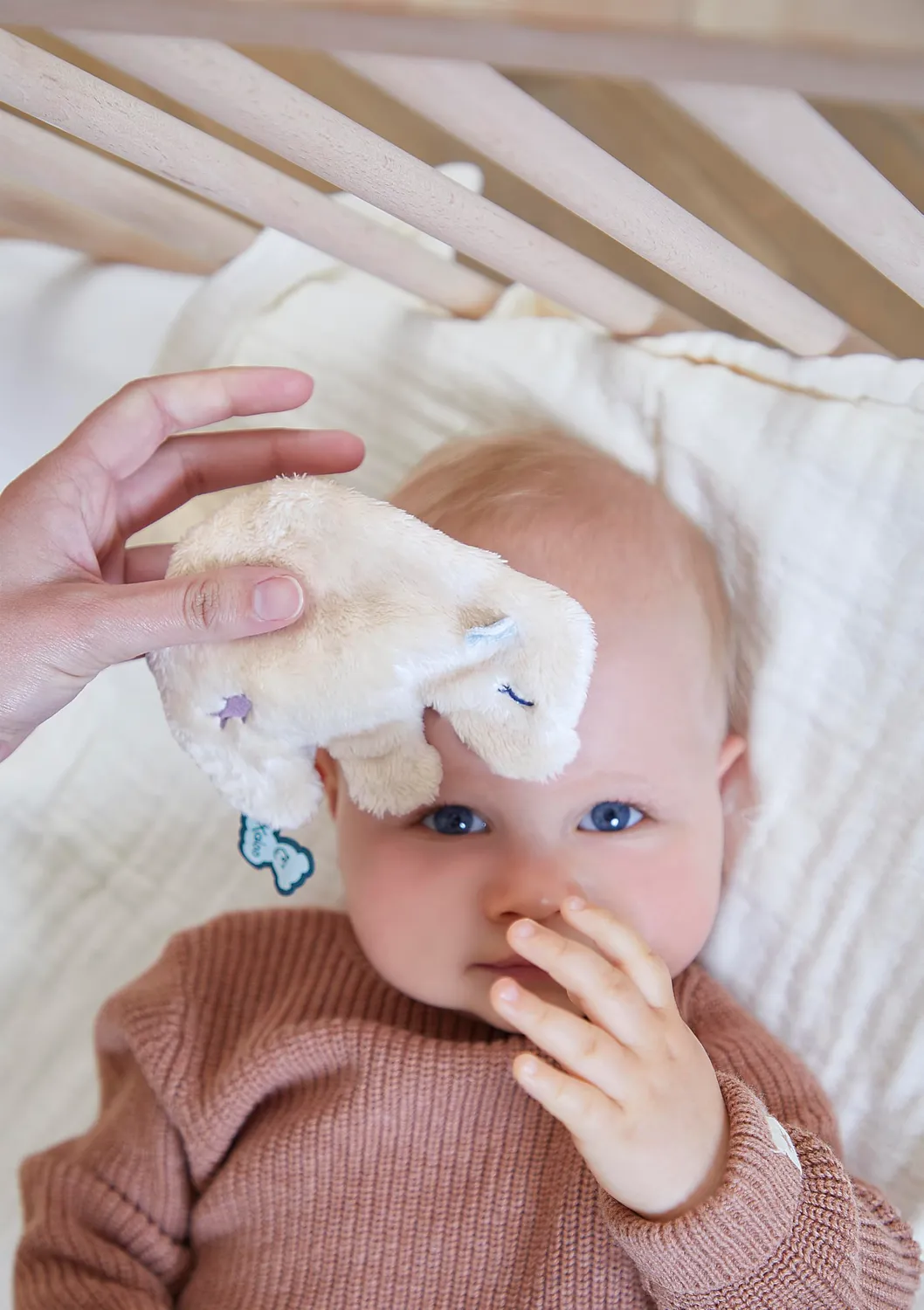 Kaloo Petit Calme K211007 Kühlkissen Bär Weiß-Beige