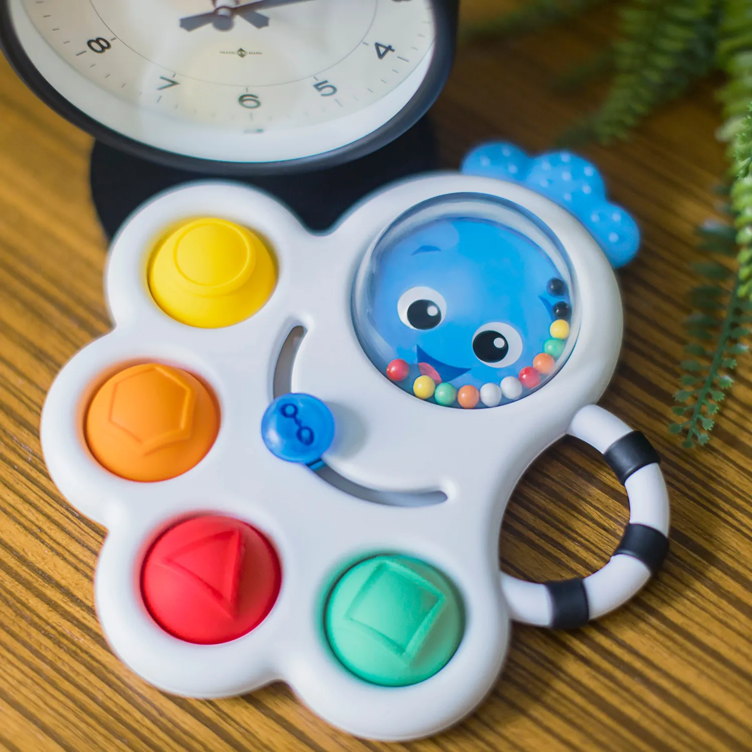 Baby Einstein Octo-Push Bubble Pop Sensorikspielzeug Beissspielzeug 6M+